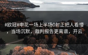 #欧冠#申花一场上半场0射正把人看懵，当场沉默，裁判报告更离谱，开云
