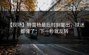 【现场】特雷杨最后时刻复出，球迷都懂了：下一秒就反转