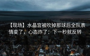 【现场】水晶宫被吹掉那球后全队表情变了，心态炸了：下一秒就反转