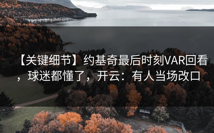 【关键细节】约基奇最后时刻VAR回看，球迷都懂了，开云：有人当场改口