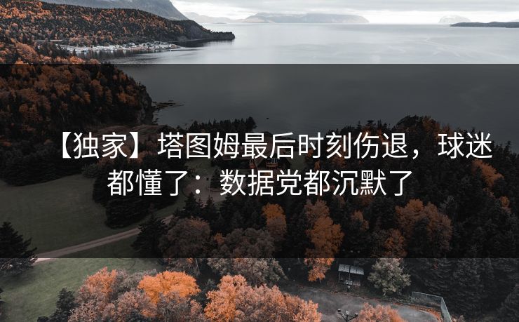 【独家】塔图姆最后时刻伤退，球迷都懂了：数据党都沉默了