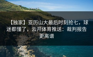 【独家】亚历山大最后时刻抢七，球迷都懂了，云开体育推送：裁判报告更离谱