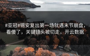 #亚冠#锡安复出第一场就遇末节崩盘，看傻了，关键镜头被切走，开云数据