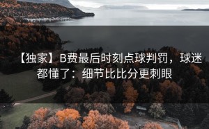 【独家】B费最后时刻点球判罚，球迷都懂了：细节比比分更刺眼