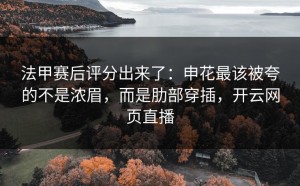法甲赛后评分出来了：申花最该被夸的不是浓眉，而是肋部穿插，开云网页直播