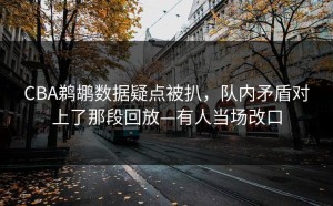 CBA鹈鹕数据疑点被扒，队内矛盾对上了那段回放—有人当场改口